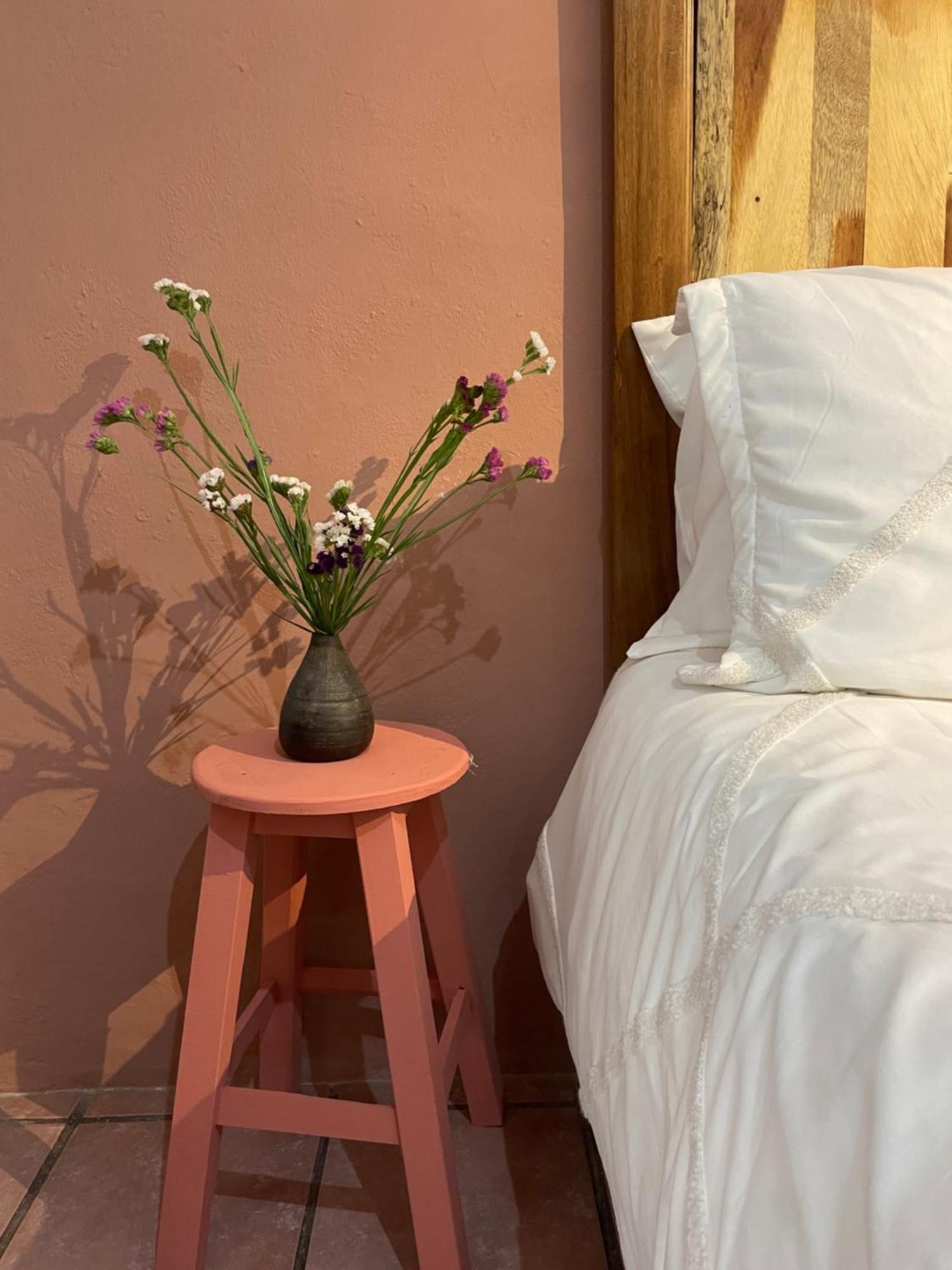 Ferienwohnung Cute Apart Excellently Located Oaxaca Exterior foto